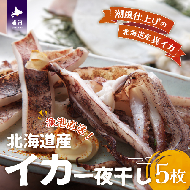 kCYwCJ銱x130gO×5[02-1375]kCY͒15000ECYCJE^REEj