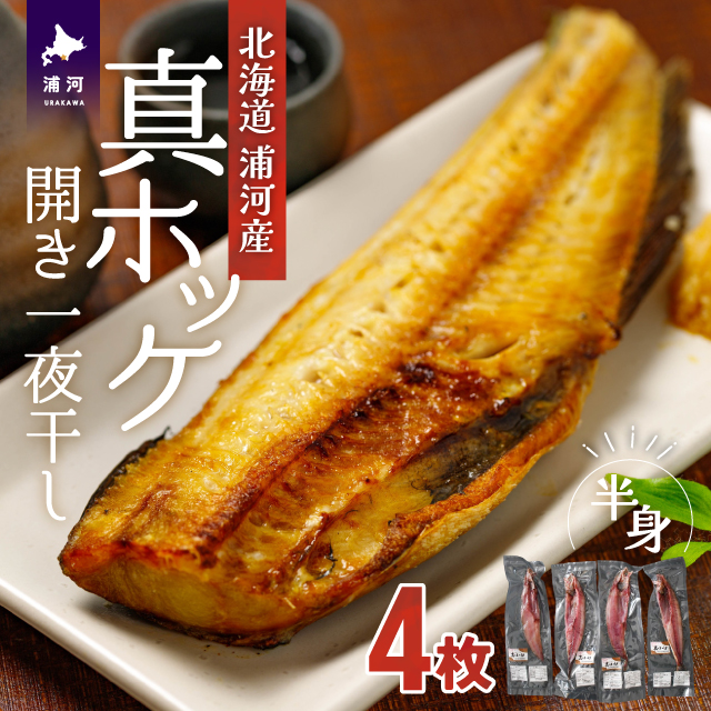 IJ^zbP(銱)g×4[02-1376]kCY͒11000ECY