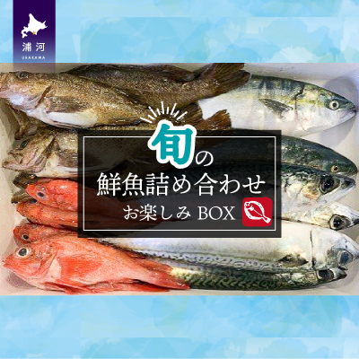 wLLxIINyBOXsݓEtwΉs[02-830]kCY͒17000ECYN