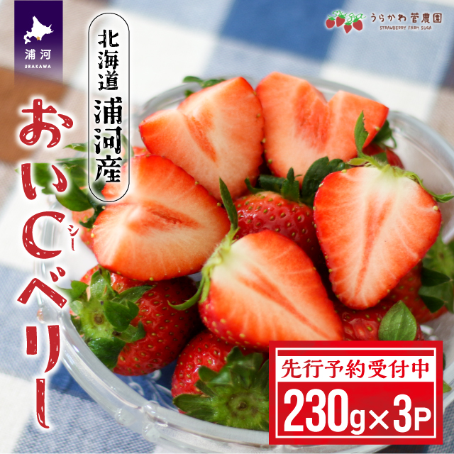 ystJnIzkCY͎YuCx[v230g×3P[13-1127]kCY͒15000ʕEt[c