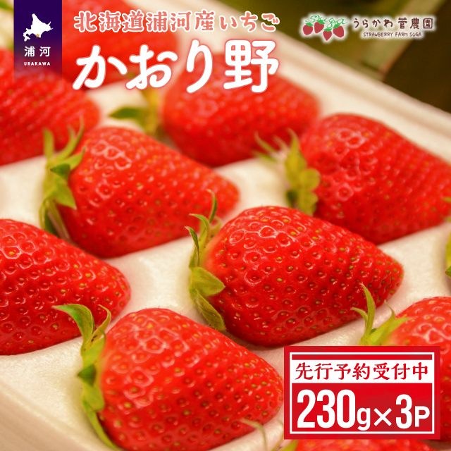 ystJnIzkCY͎Yuv230g×3P[13-113]kCY͒15000ʕEt[c