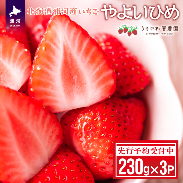 ystJnIzkCY͎Yu悢Ђ߁v230g×3P[13-883]kCY͒15000ʕEt[c