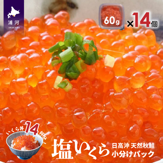 yX[NT[tzkCY 珬pbN(60g×14)[15-543]kCY͒50000ECY