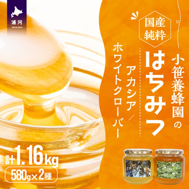 Yn݂͂rZbg(AJVAEzCgN[o[)580g×2{[16-1524]kCY͒23000ZbgE؁EHHiWE݂͂