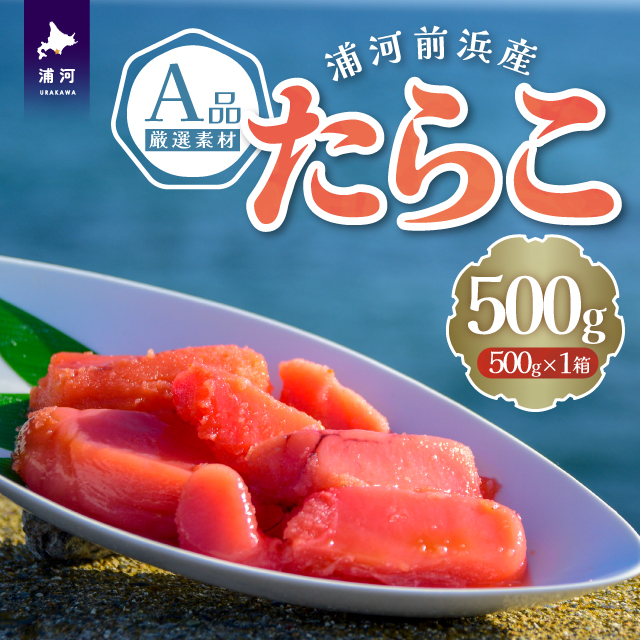 Y͑OlY 炱(Ai) 500g×1[26-1378]kCY͒12000ECYqȆ