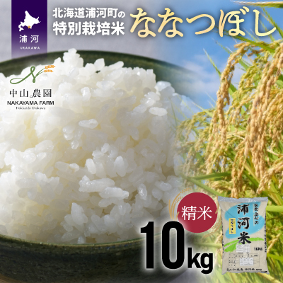 yVĔIzY͂̓ʍ͔|āuȂȂڂv(10kg×1)[37-1026]kCY͒26000āEp