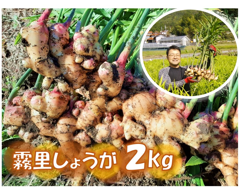 ij傤 Os/_˂܂[APBX001]LOs11000؁Ê̑ 