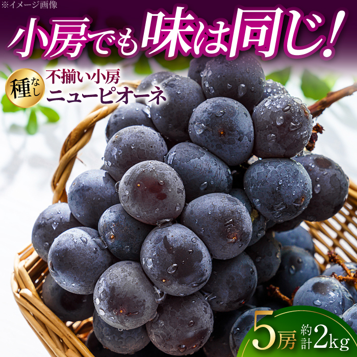 y͂zs[j[sI[l5[i2kgj ʌ 󂠂 s Ȃ Ԃǂ sI[l t[c ʕ uhE Os/Ԃǂ [APAB003]LOs16000ʕEt[c}X