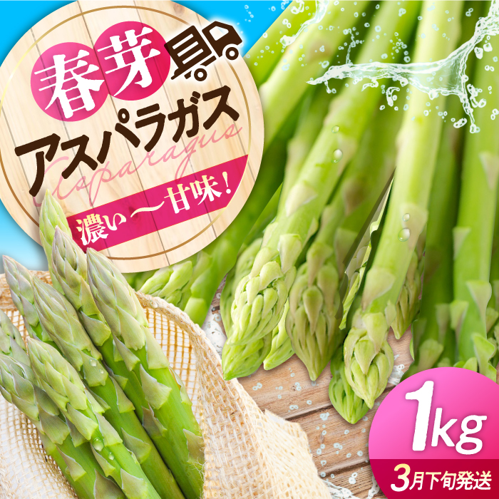 Ǒb݂ӂ킯 ̂ tAXpKXi1kgjƂꂽ AXp {  Os/AXp [APAU001]LOs10000؁Ê̑ 