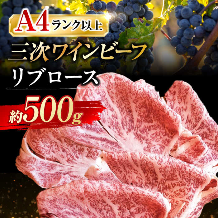 OCr[t u[X Ăp 500g Os/OCr[t ݁[Ƃ̂ [APAX008]LOs30000