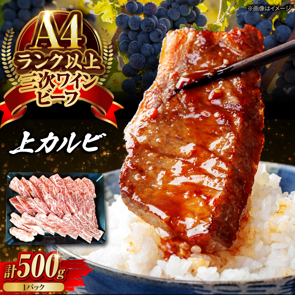  OCr[t Jr 500g Jr јa   ē Y Ă Os/OCr[t ݁[Ƃ̂ [APAX013]LOs24000