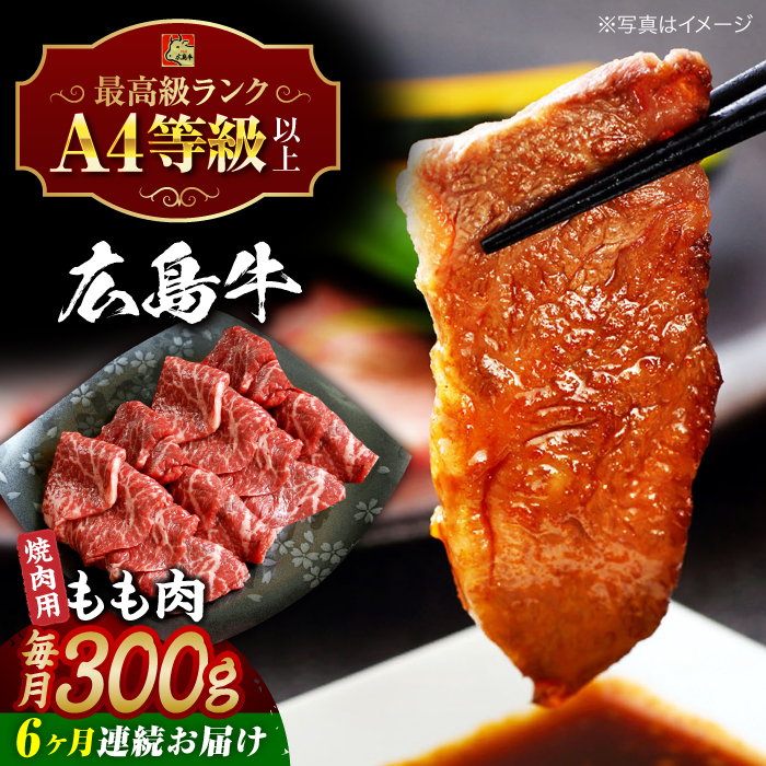 yS6ցzL  ēp 300g Os / LOCi[ [APAZ063]LOs94000