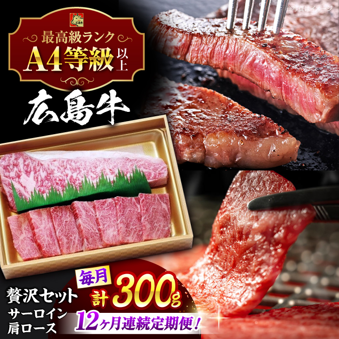 yS12ցzL a ґZbg 300g i[X ēp 150g T[C 150gj Os / LOCi[ [APAZ076]LOs221000