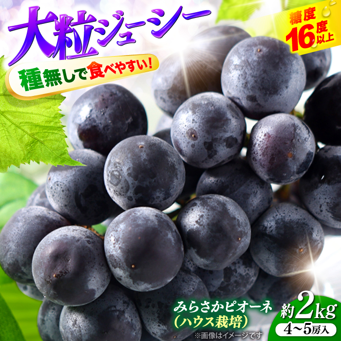 y7{8{ɏz݂炳sI[linEX͔|j2kg 45[ 햳 Ԃǂ t[c Mtg sI[l ʕ Os/݂炳sI[l[APBE002]LOs25000ʕ