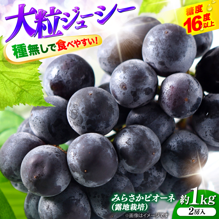 ys\zy8{9{ɏz݂炳sI[liIn͔|j1kg 2[ t[c Mtg sI[l Ԃǂ ʕ Os/݂炳sI[l[APBE003]LOs11000ʕ