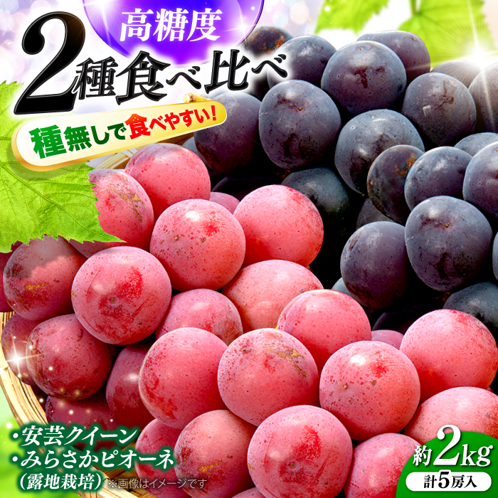 ys\zy8{9{ɏz݂炳sI[l2[|NC[3[ v2kg 5[ iIn͔|j t[c Mtg sI[l Ԃǂ ʕ Os/݂炳sI[l [APBE