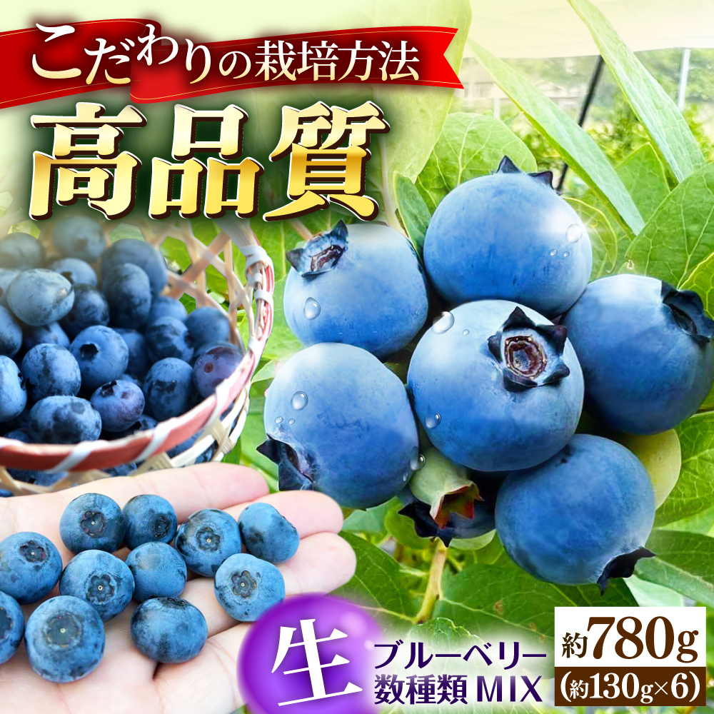 y①zy6{7{ɏzu[x[ 780gi130g×6pbNj u[x[ ~bNXx[ u[x[ Os/샂[^[X [APCH011]LOs15000ʕEt[c