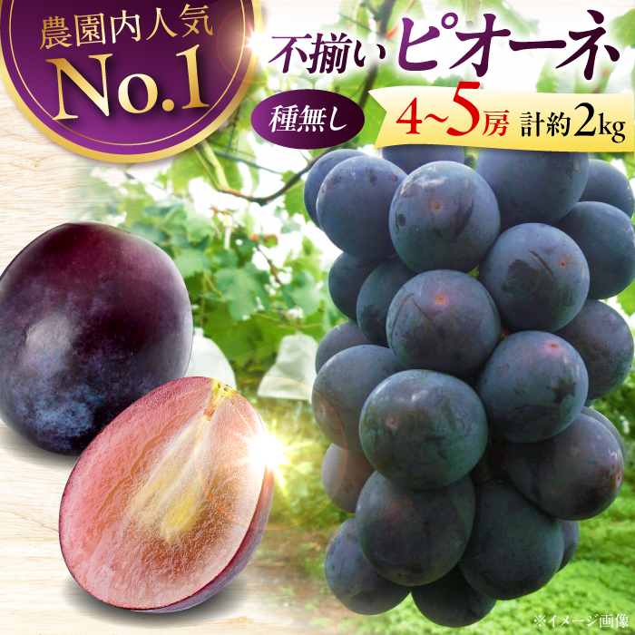 ys\zy8{9{ɏz sI[l 2kgi45[j Ԃǂ  t[c ʕ  Ԃǂ sI[l Os/ŏ_ [APCK002]LOs14000ʕEt[c}X