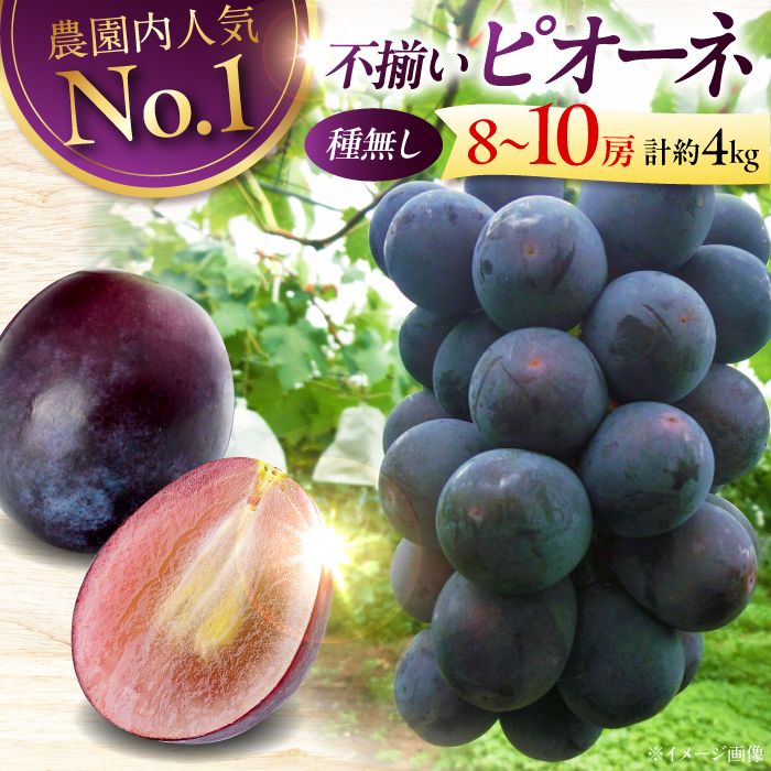 ys\zy8{9{ɏz sI[l 4kgi810[j Ԃǂ  t[c ʕ  Ԃǂ sI[l Os/ŏ_ [APCK003]LOs25000ʕEt[c}