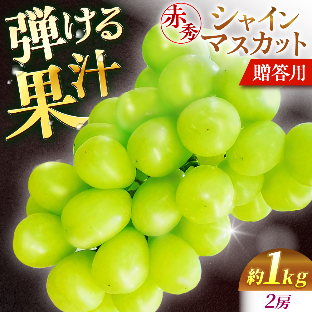 Ԃǂ VC}XJbg 1kgi2[ ԏGj In͔| VC}XJbg }XJbg ʕ  t[c Ԃǂ  Os/cԂǂ [APCM001]LOs13000ʕEt[c}X