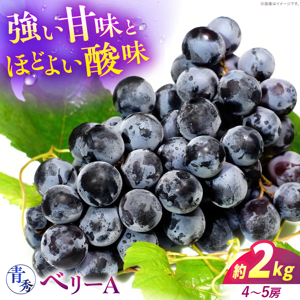 Ԃǂ x[A 2kgi45[j G In͔| }XJbg uhE ʕ  t[c Ԃǂ  Os/cԂǂ [APCM012]LOs11000ʕEt[c}XJbgEԂǂ