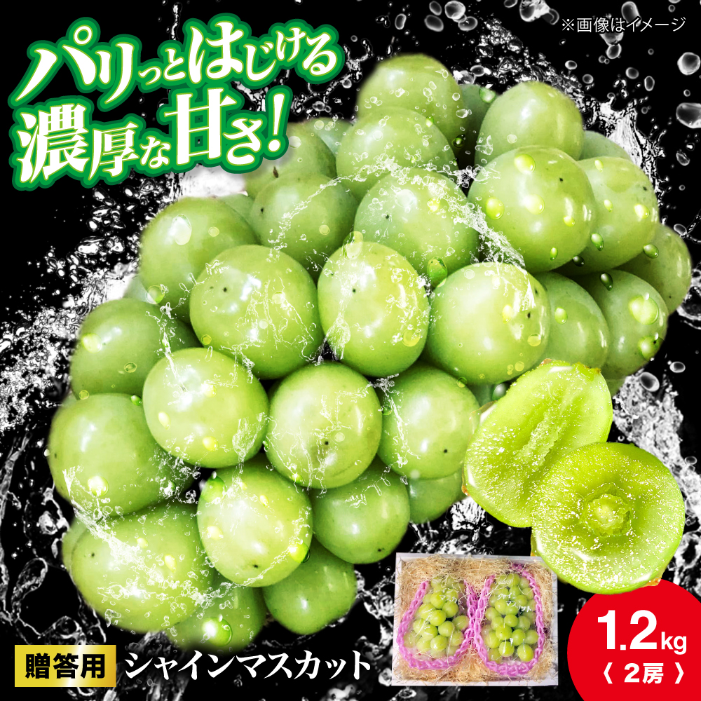 p VC}XJbg 1.2kgi2[j Ԃǂ uhE  VC }XJbg Os / C_ [APCR003]LOs21000ʕEt[c}XJbgEԂǂ