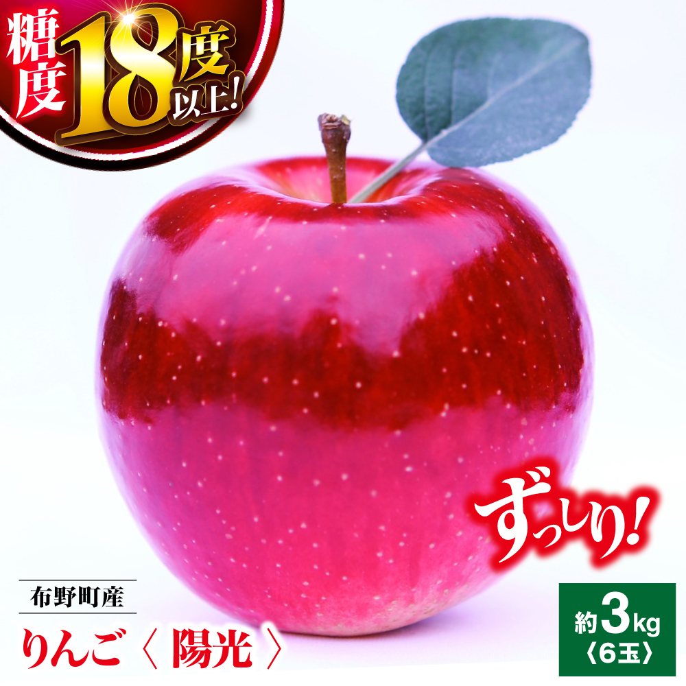 ys\zy10{11{z S z쒬Y  i z j 6Zbg Ԍ t[c ʕ ь  Os / t[chӂ [APDD001]LOs12000ʕE