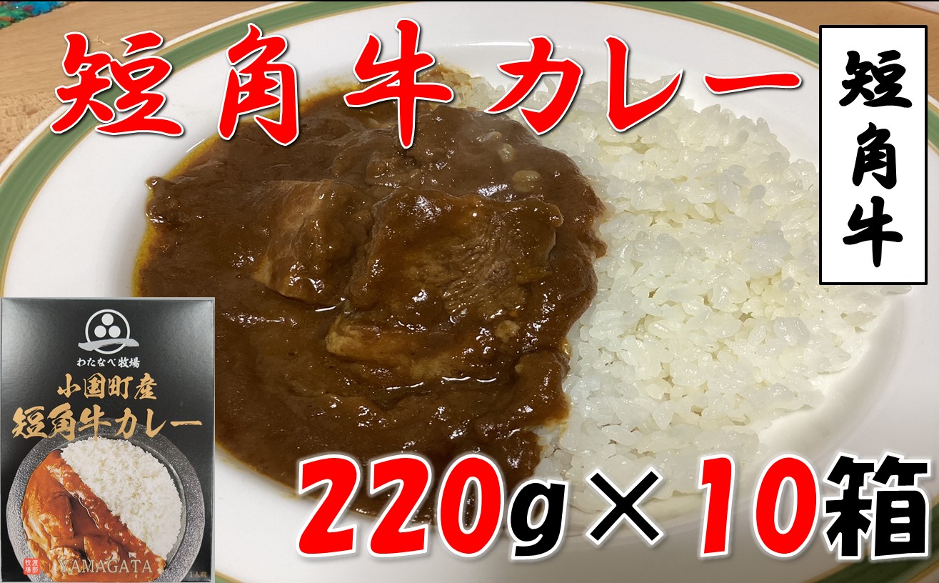 小国短角牛カレー(1人前×10箱)山形県小国町30000肉