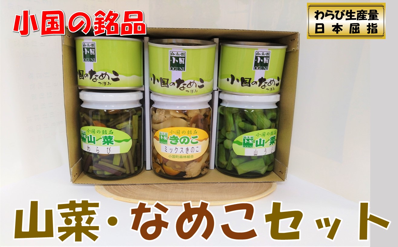 山形県小国町産山菜セット(なめこ缶つぼみ3缶・わらび・山うど・ミックスきのこ瓶)山形県小国町12500野菜・きのこ
