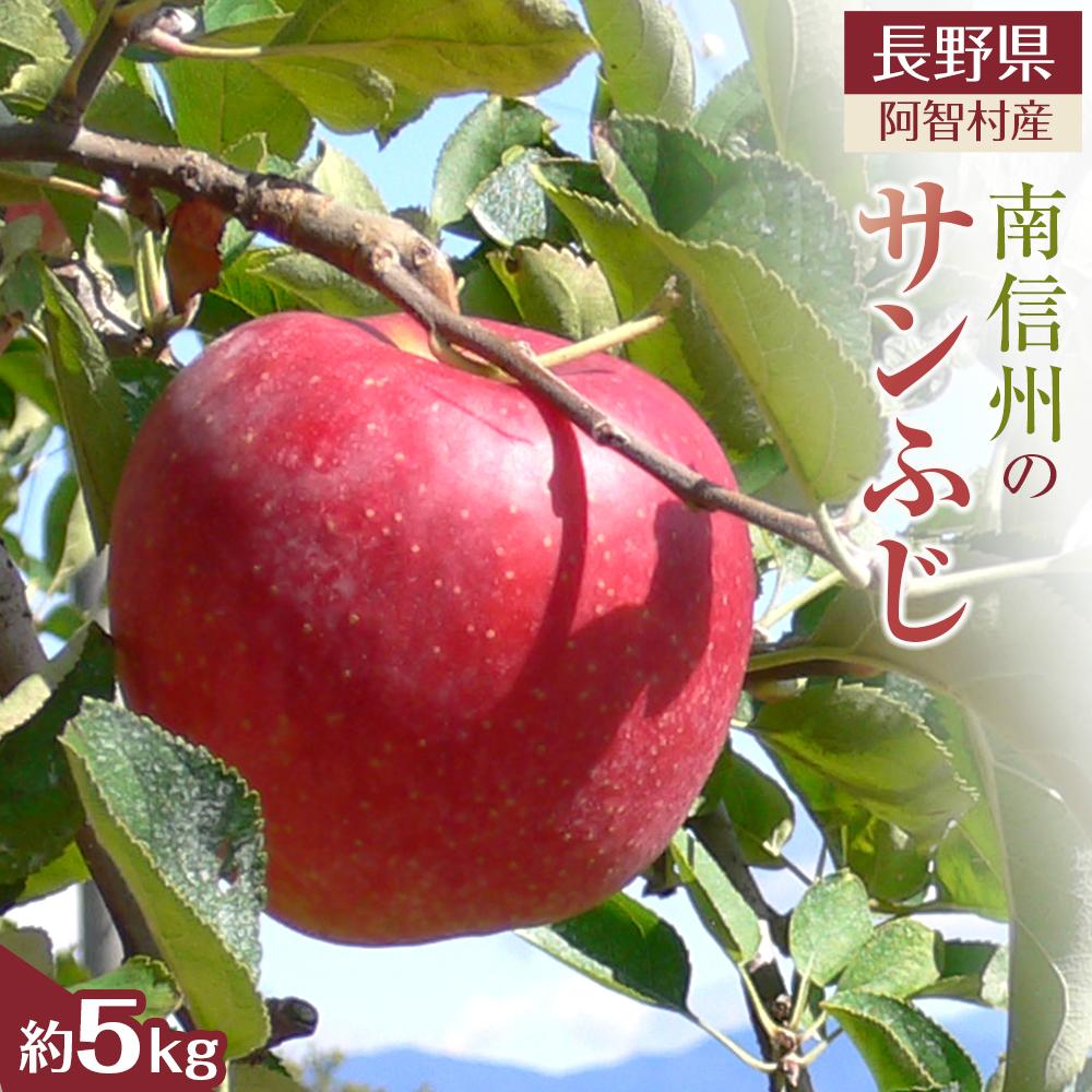 【令和7年12月上旬〜順次発送】南信州 阿智村 りんご「サンふじ」約5kg|  果物 フルーツ 林檎 リンゴ 信州 長野長野県阿智村16000果物・フルーツりんご・梨
