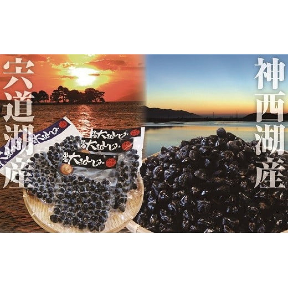 しじみの食べ比べ!宍道湖産&神西湖産島根県出雲市10000魚介・海産物貝類