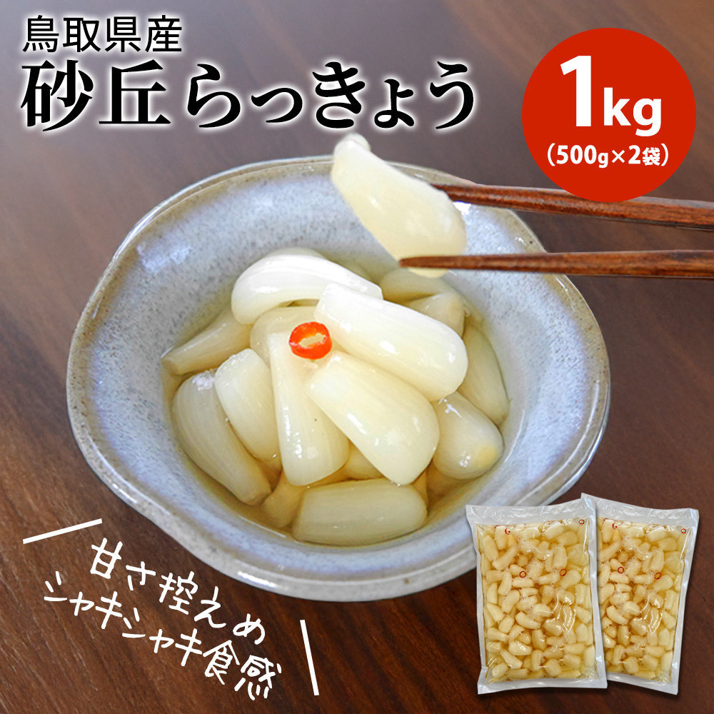 【業務用】鳥取県産砂丘らっきょう 500g×2島根県出雲市18000鍋セット・総菜・加工食品漬物・梅干・キムチ