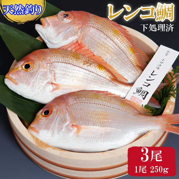 VRނ背Riρjo_s10000ECYN