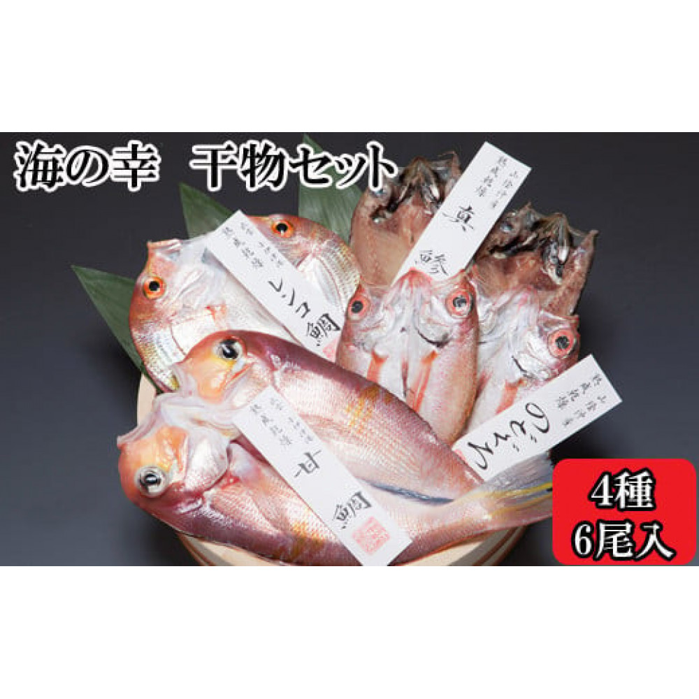 海の幸干物セットA島根県出雲市12000魚介・海産物干物