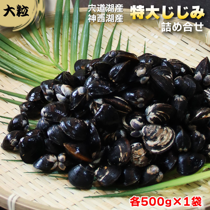 厳選特大しじみ詰め合わせ島根県出雲市10000魚介・海産物貝類