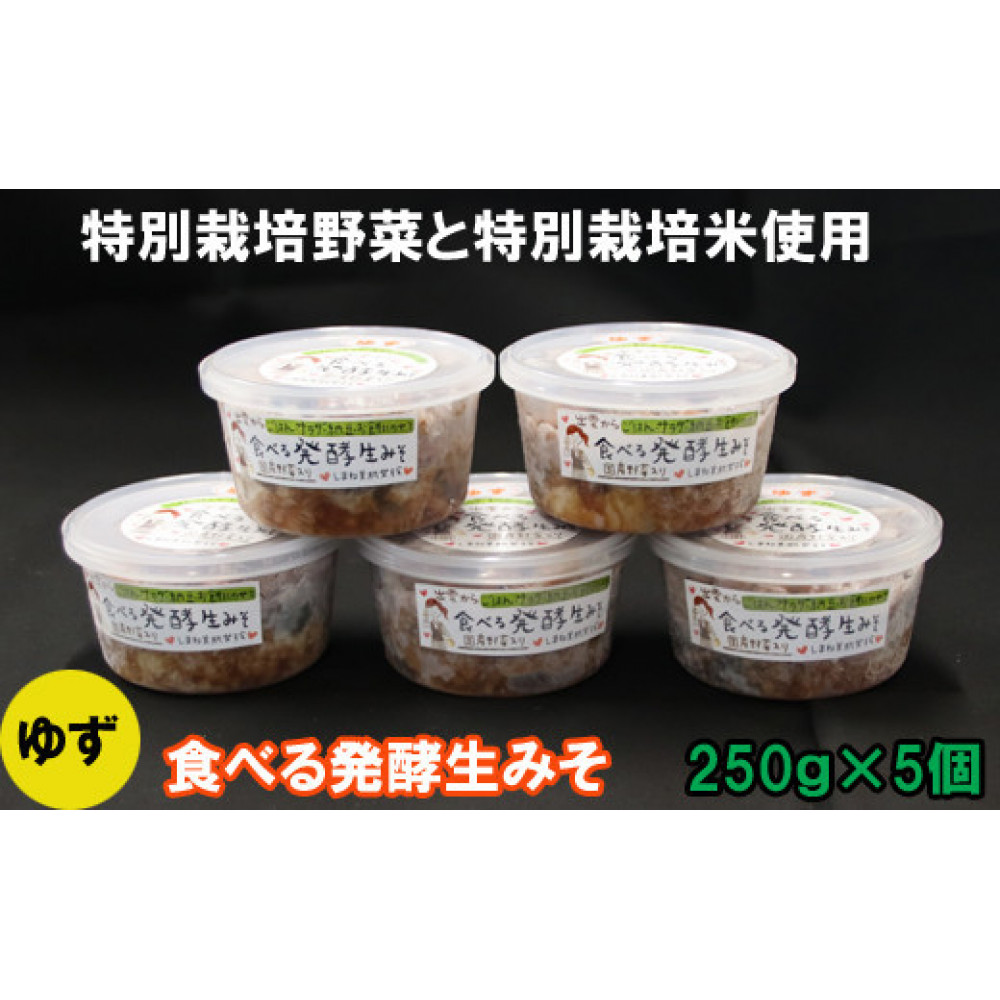 出雲のゆず入り食べる発酵生みそ250g×5個島根県出雲市11000調味料・油味噌