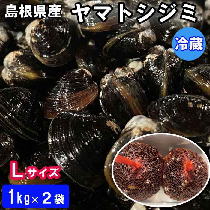 日本一!しまねのヤマトシジミ!Lサイズ島根県出雲市14000魚介・海産物貝類