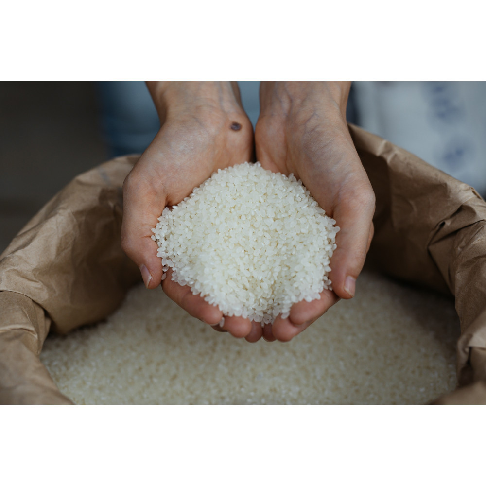 2025年度産コシヒカリ5キロ島根県出雲市14000米・パン白米