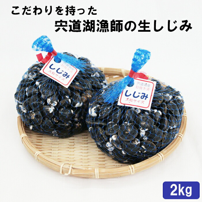 こだわりを持った宍道湖漁師の生しじみ島根県出雲市10000魚介・海産物貝類