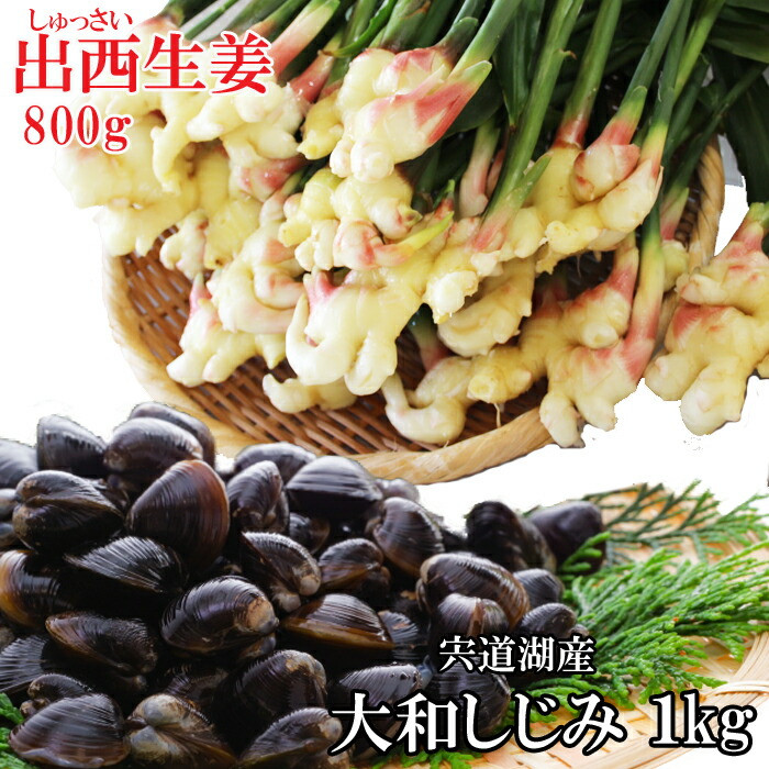 ̉w̐쌵IYiZbgo_s11000؁Ê̑ 