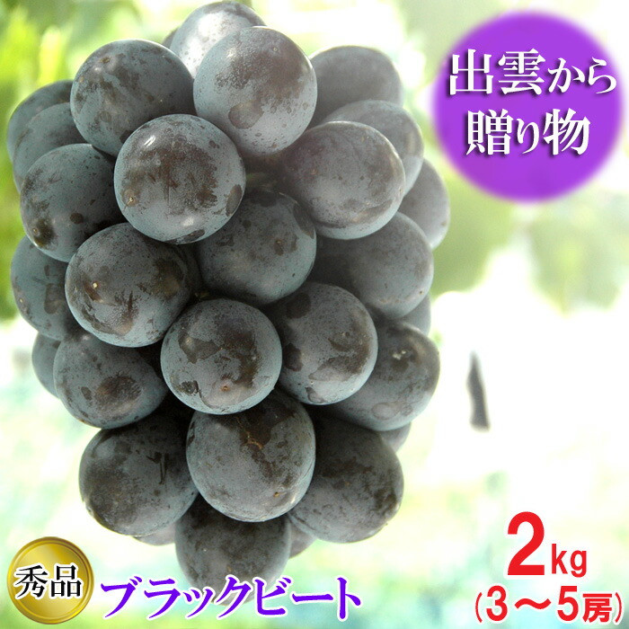 [_ƒ]IubNr[g2kgi3`5[j[c_]o_s14000ʕEt[c}XJbgEԂǂ