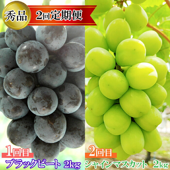 【2回定期便】【農家直送】厳選シャインマスカットとブラックビートの定期便島根県出雲市34000果物・フルーツマスカット・ぶどう