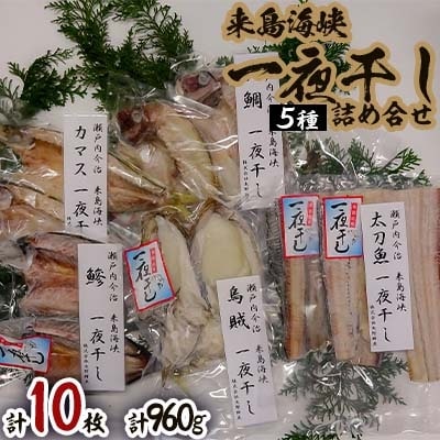 来島海峡一夜干し 詰め合せ【B240】【配送不可地域:離島】【1022494】愛媛県今治市21000魚介・海産物イカ・タコ・ウニ