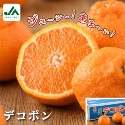 【先行予約】デコポン 3L〜L 18〜24玉 不知火 国産 柑橘 KB02510【1111435】愛媛県今治市21000果物・フルーツみかん・柑橘類