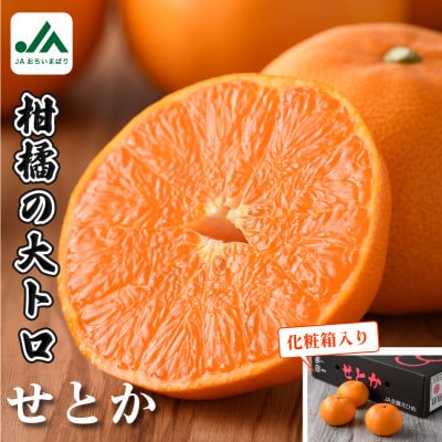 【先行受付】せとか (化粧箱入) プレミアム柑橘 3L〜L 10〜15玉 KC00630【1111437】愛媛県今治市24000果物・フルーツみかん・柑橘類