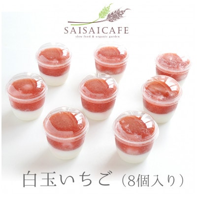 SAISAICAFEの白玉いちご(8個入り)【VA00760】【配送不可地域:離島】【1418474】愛媛県今治市10000菓子・スイーツその他 洋菓子