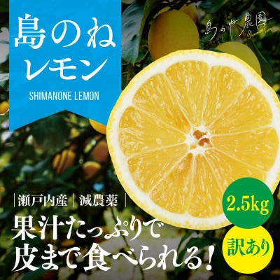 【訳あり】島のねレモン 2.5kg 【K001600】【1459575】愛媛県今治市11000果物・フルーツみかん・柑橘類