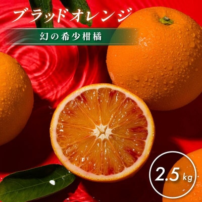 【先行予約】【数量限定】ホリ田ヤ ブラッドオレンジ 2.5kg【K002440】【1655214】愛媛県今治市14000果物・フルーツみかん・柑橘類