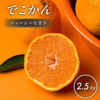 【先行予約】【数量限定】ホリ田ヤ でこかん 2.5kg【K002430】【1655215】愛媛県今治市14000果物・フルーツみかん・柑橘類
