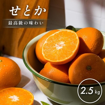 【先行予約】【数量限定】ホリ田ヤ せとか 2.5kg【K002420】【1655218】愛媛県今治市14000果物・フルーツみかん・柑橘類